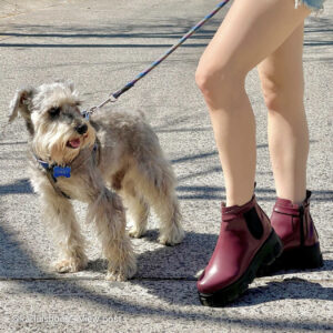 Botas Chunky Tintas